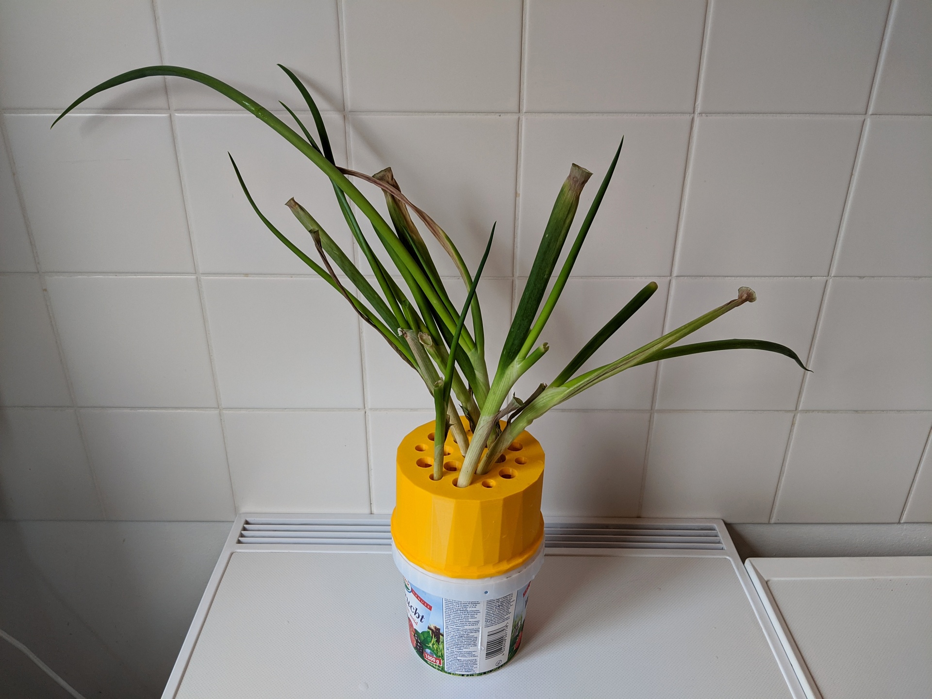 green onion bucket 17