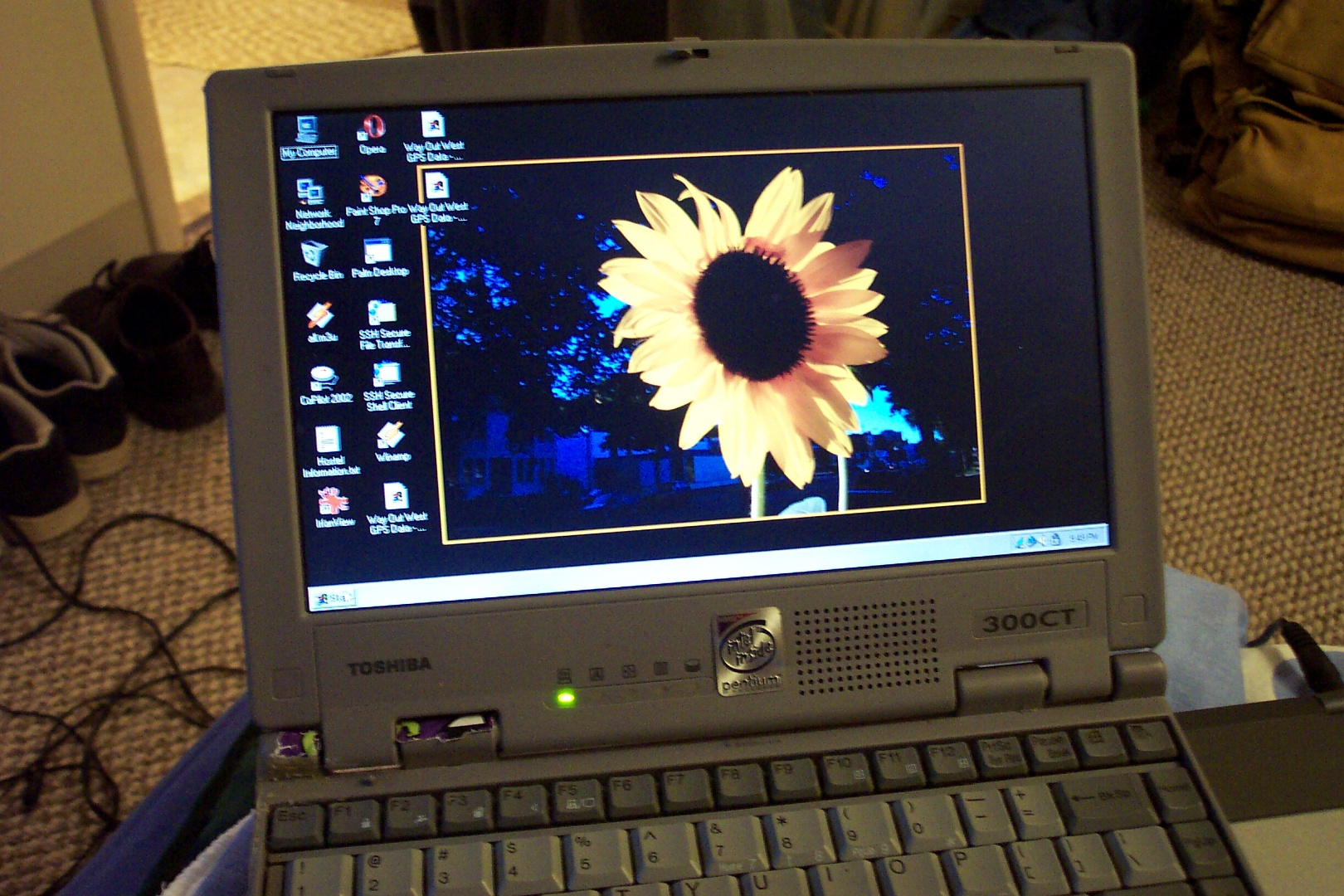 A picture of a Toshiba Portégé 300CT laptop running Windows 98, with a picture of a sunflower as the desktop background