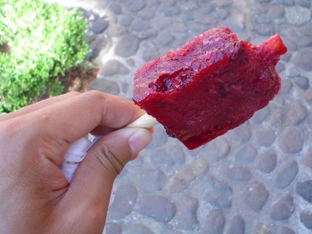 paleta de zarzamora